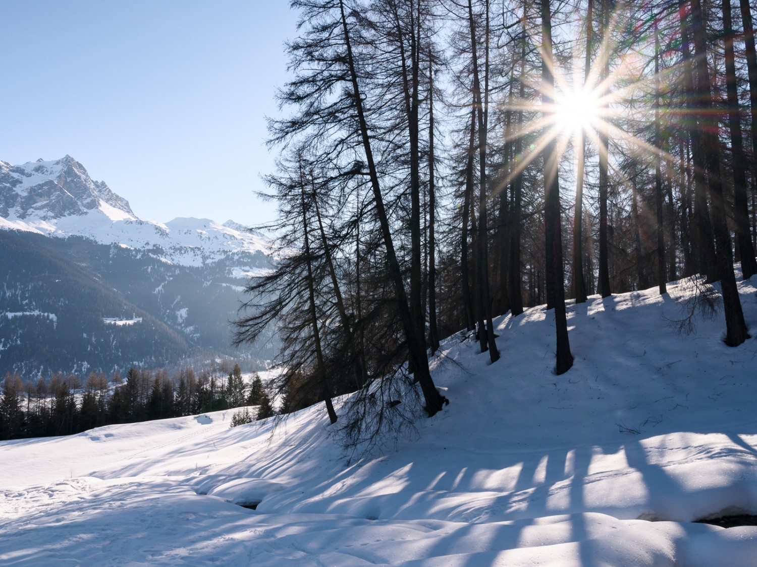 Der Weg führt zunächst über verschneite Wiesen und durch kleine Wäldchen. Bild: Jon Guler