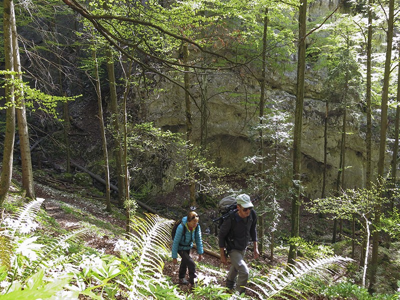 Die Wolfschlucht ist heute nicht mehr gefährlich.