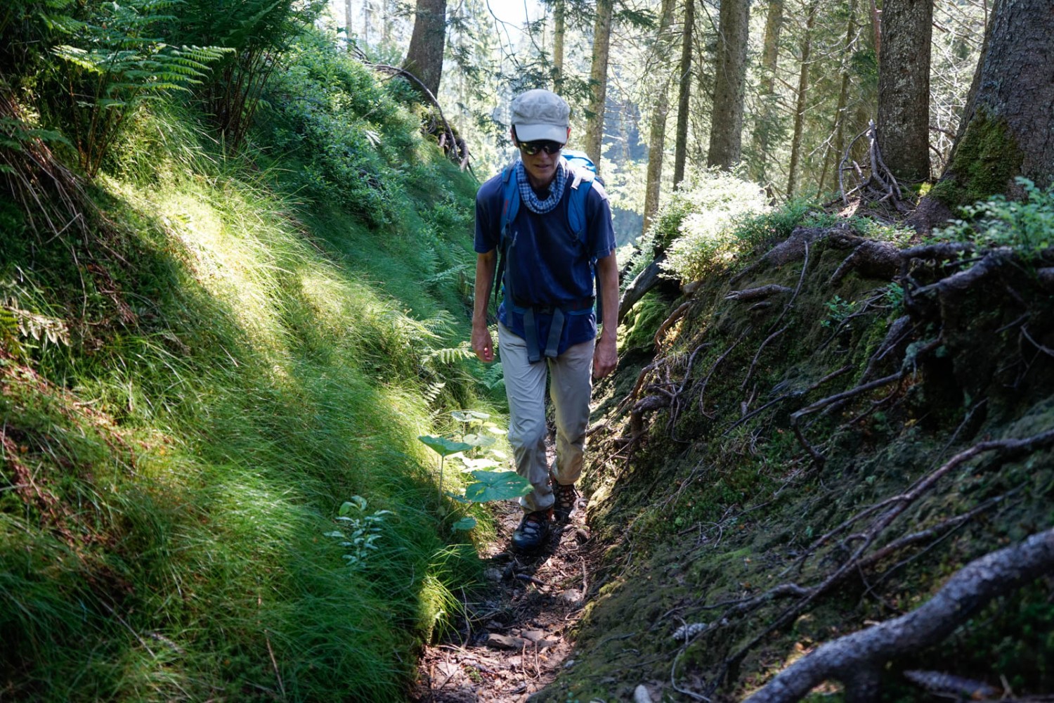 Le décor change du tout au tout: voilà un chemin creux dans la forêt. Photo: Fredy Joss