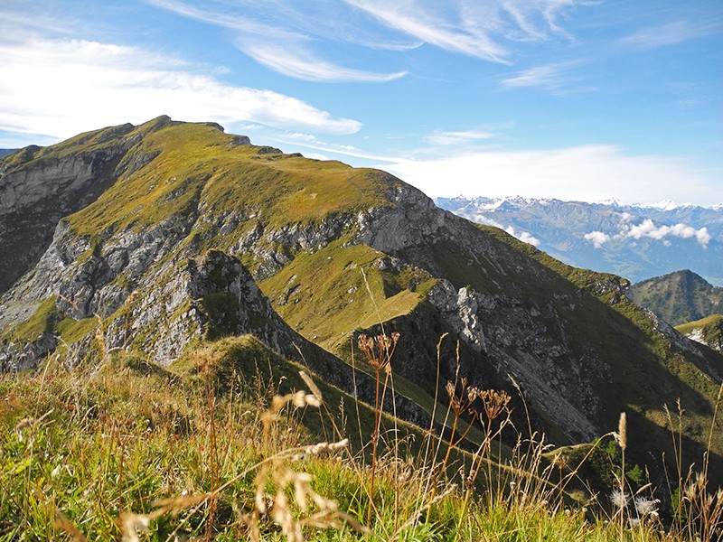 Die Wanderung führt dem Grat entlang auf den Rappastein. Bilder: Marina Bolzli