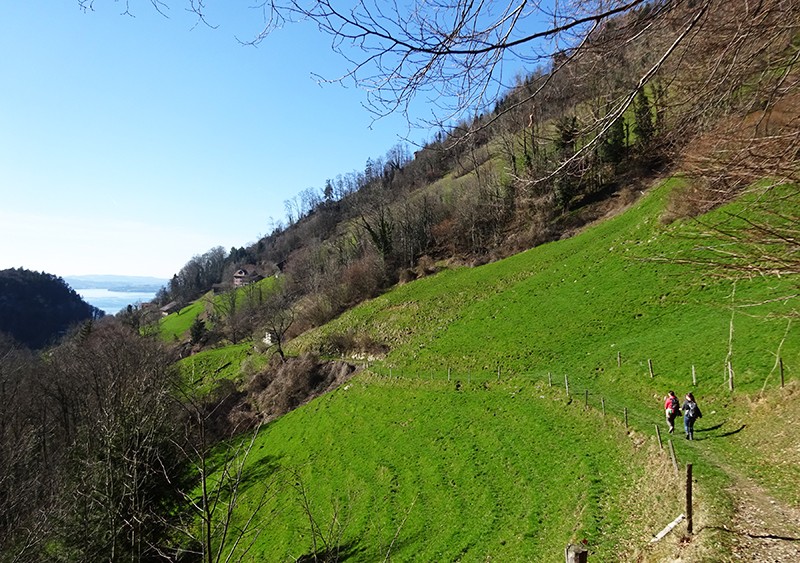 Hinunter Richtung Vitznau: Hier mähen die Bauern noch mit der Sense. Bilder: Sabina Brack