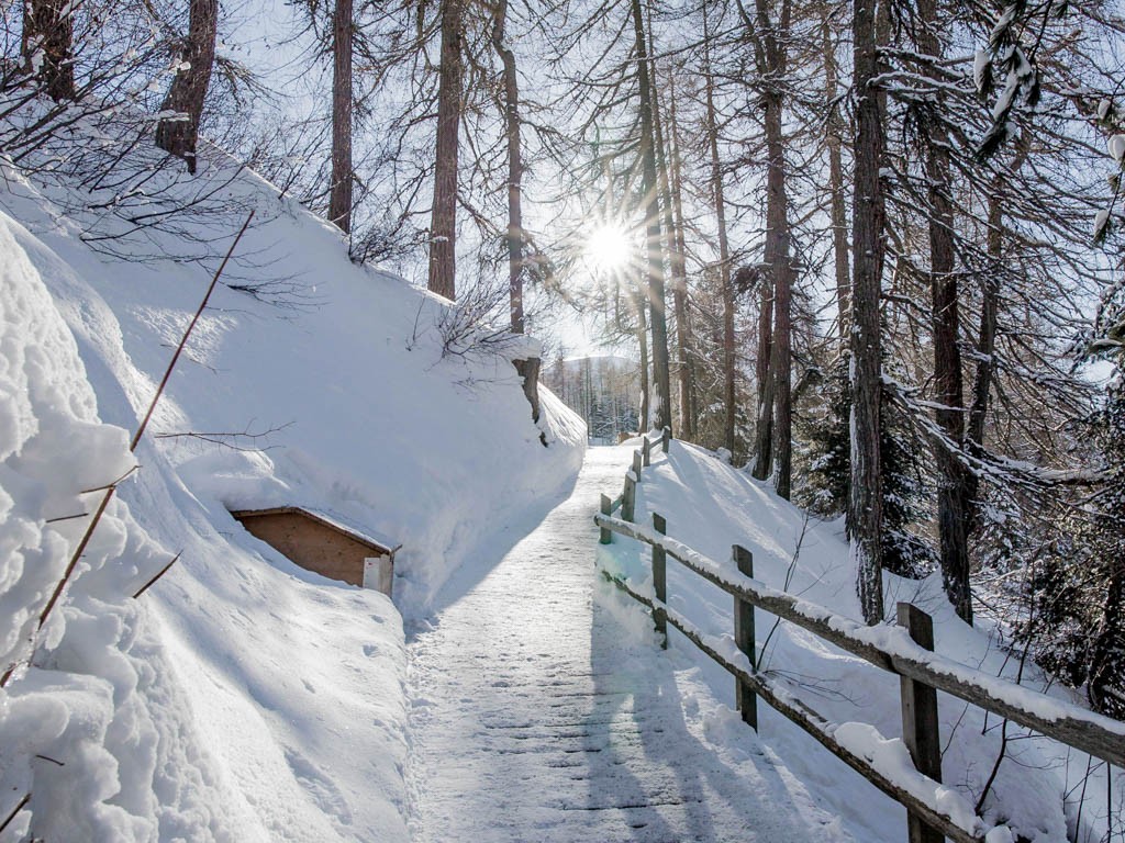 Der Aufstieg ist dank dem präparierten Weg gut zu schaffen. Bild: Jannik Paul