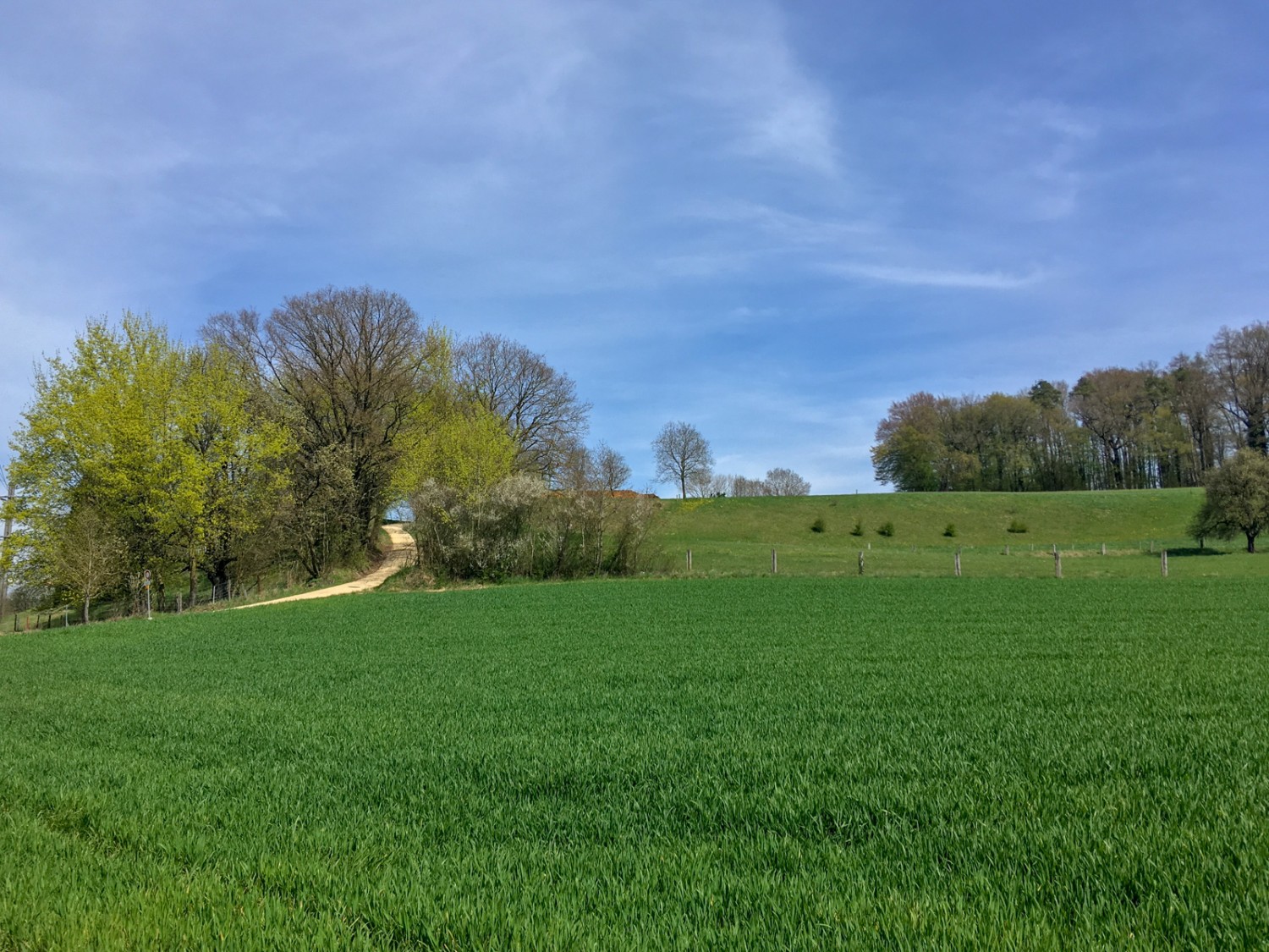 Liebliche Landschaft bei Ramsen. Bild: Claudia Peter