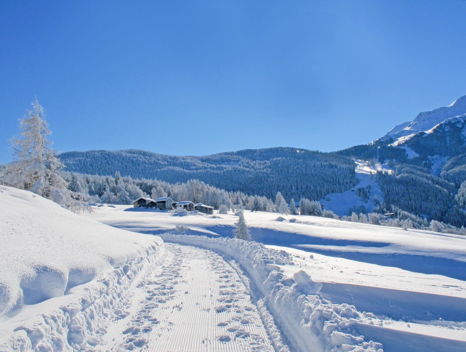 Dank breitem Trassee und meist geringem Gefälle eignet sich der Winterwanderweg auch für wenig erfahrene Wandernde. Bild: Bürchen Unterbäch Tourismus