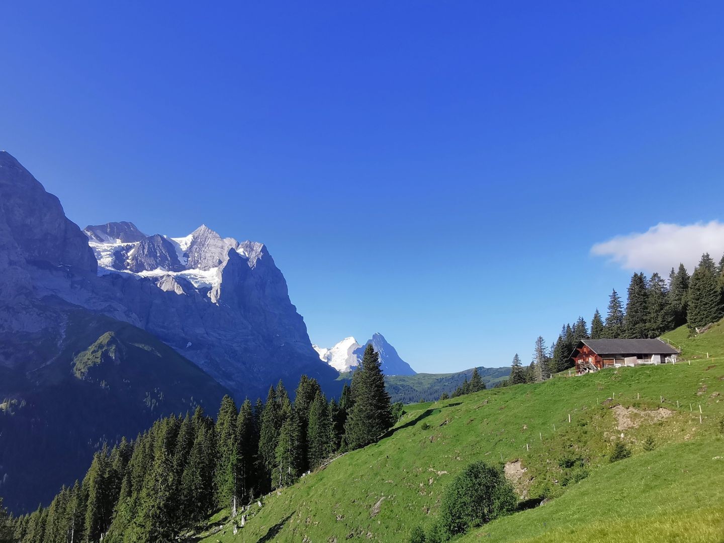 Nachmittagsrunde an der Alp Grindel