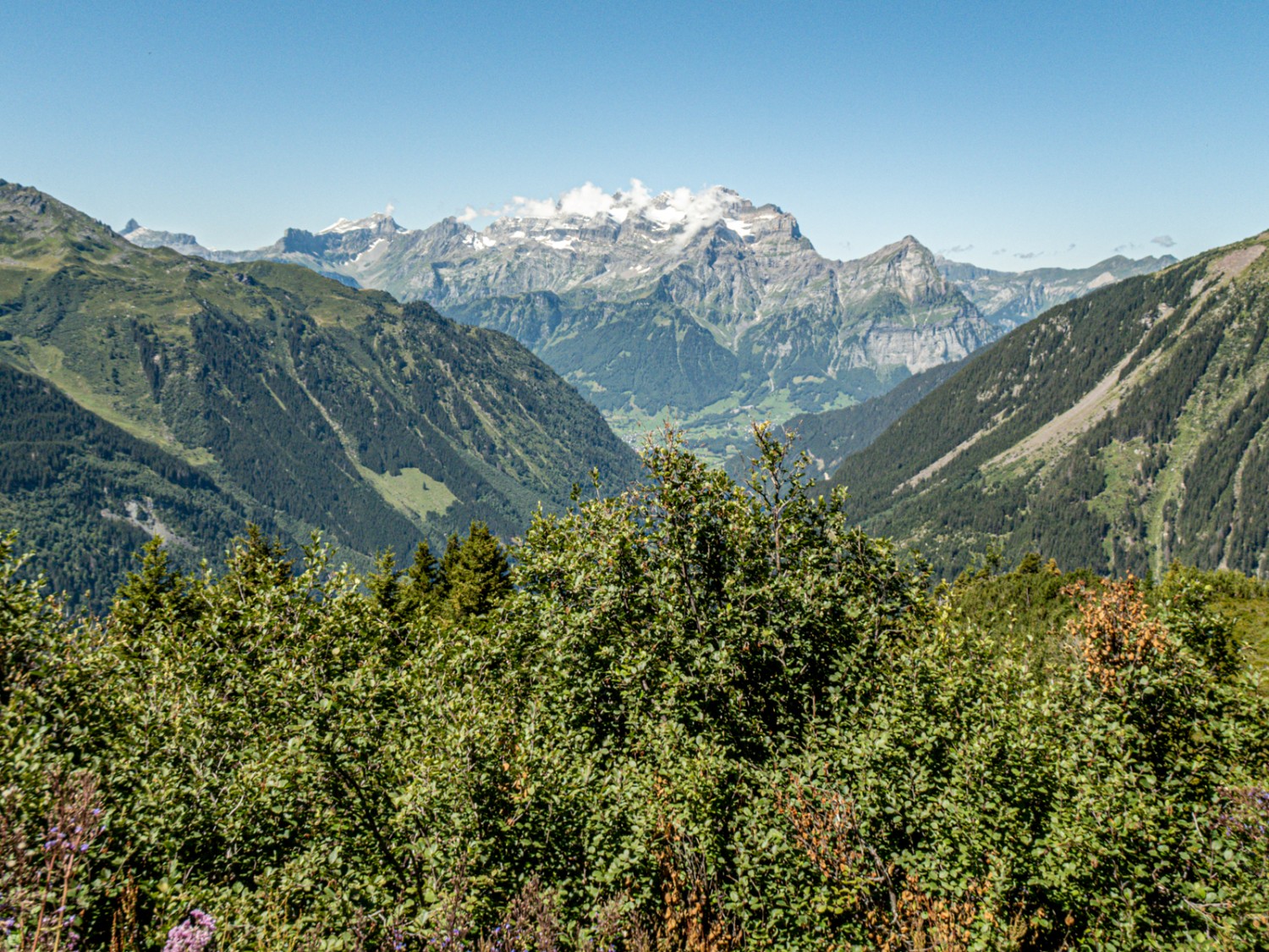 Blick aufs Glärnischmassiv, kurz bevor sich das Mülibachtal öffnet. Bild: Vera In-Albon