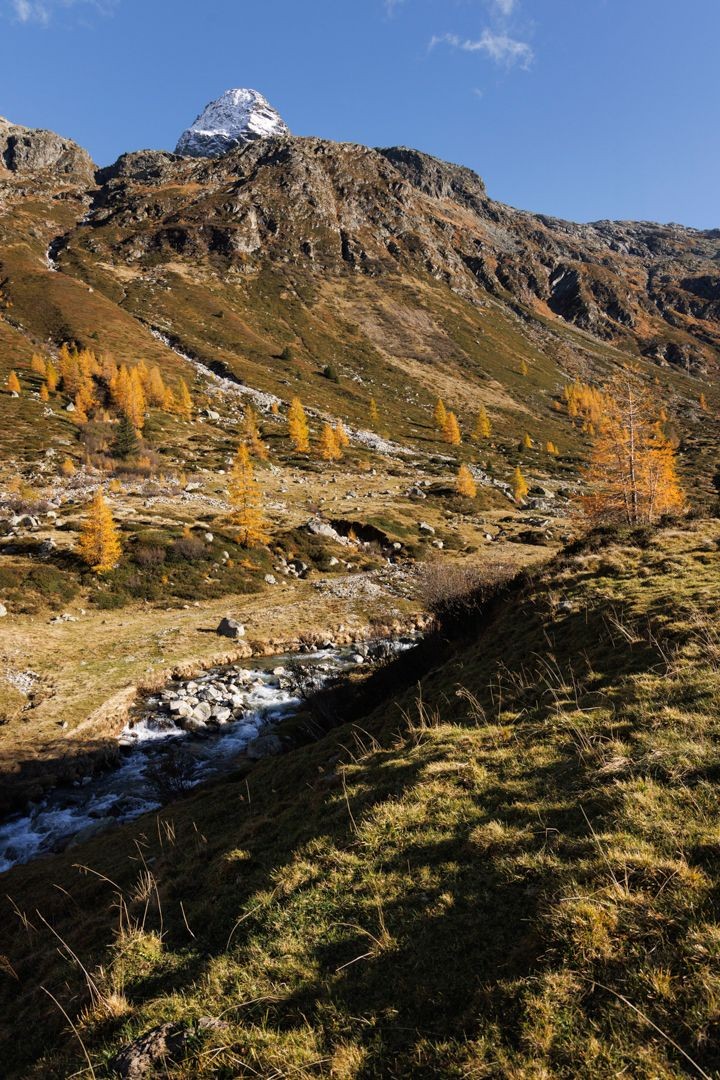 Blick zurück auf das verschneite Schwarzhorn: im Abstieg vom Berghaus Splügenpass Richtung Splügen.