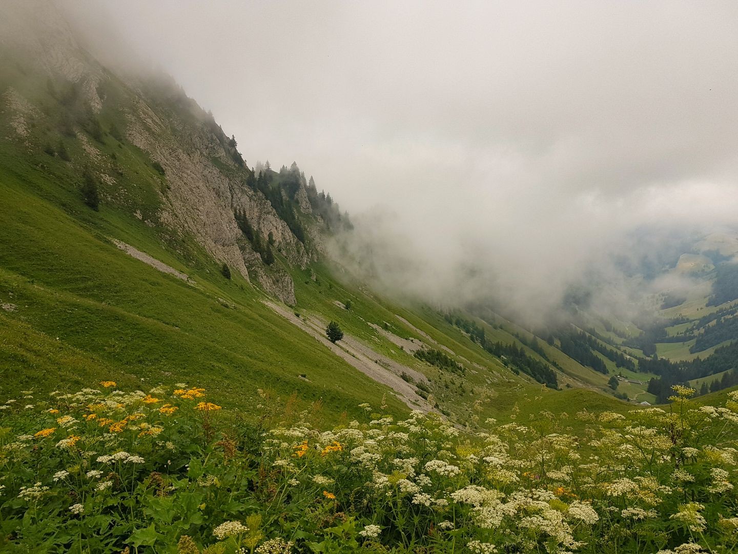 Auf fast 2000 Meter über Meer bilden grüne Landschaften, Geröll und Nebelschwaden ein harmonisches Miteinander.