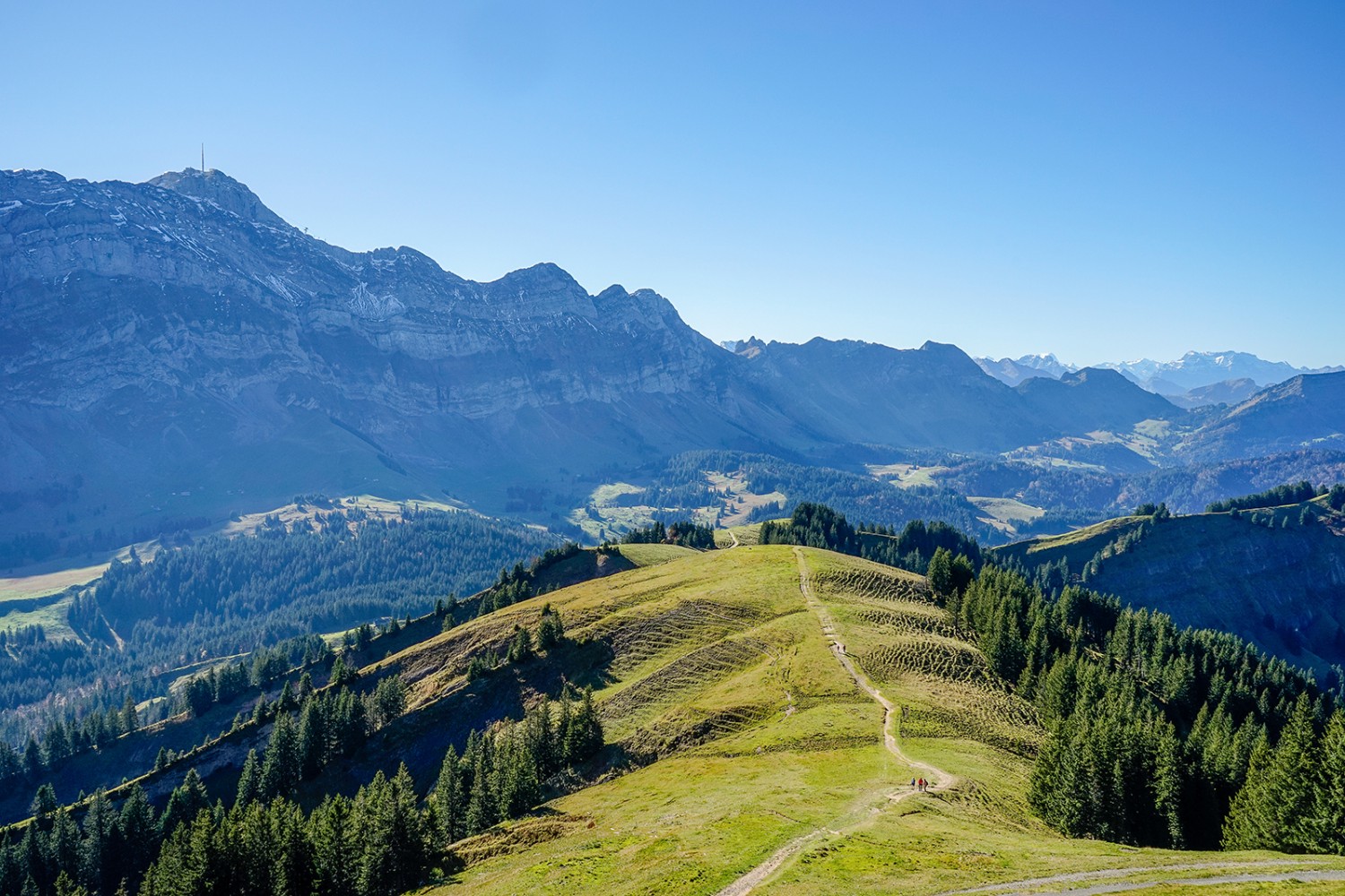 Der Säntis, allgegenwärtig, vom Kronberg aus gesehen. Der Weg im Vordergrund führt zur Schwägalp. Bilder: Fredy Joss