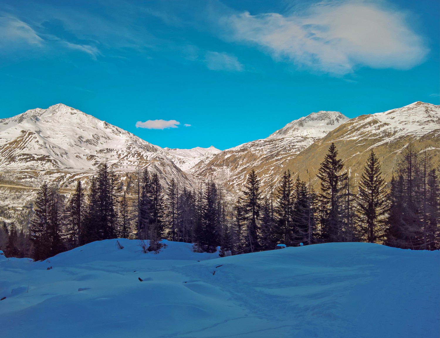 La majeure partie du tracé reste encore plusieurs semaines à l’ombre. Vers mi-février, le soleil est présent par endroits. Photo: Andreas Staeger