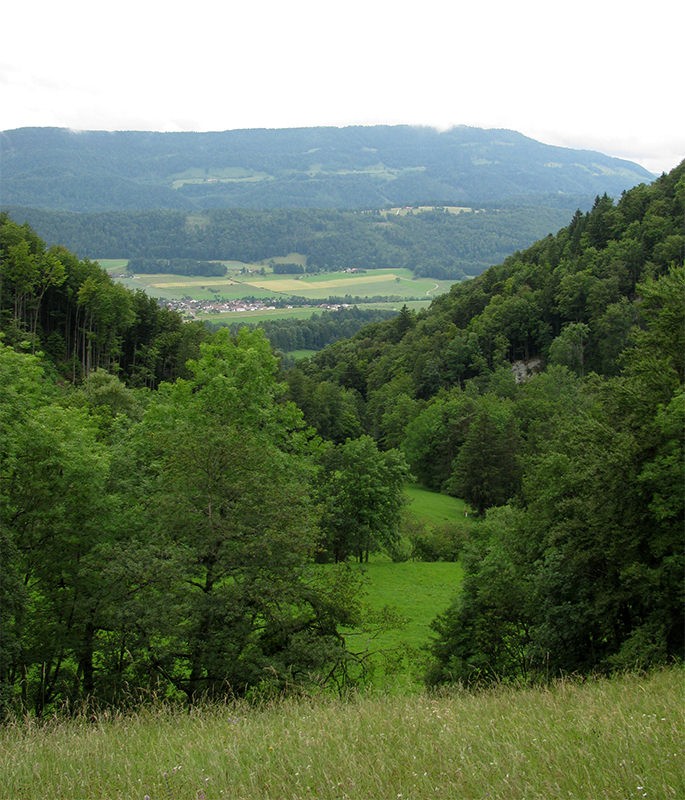 Vista da Nieder Fringeli a Corban. Foto: Andreas Staeger