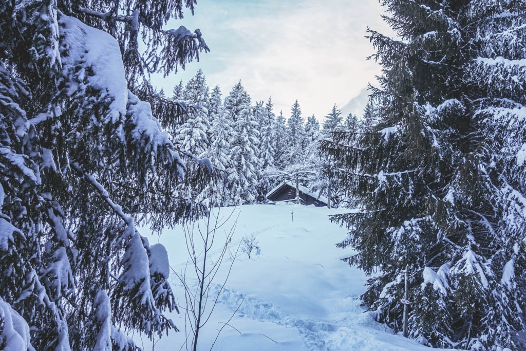 Le joli chemin sinueux emmène les randonneurs chalet «Ou Chimbo». Photo: Lauriane Clément