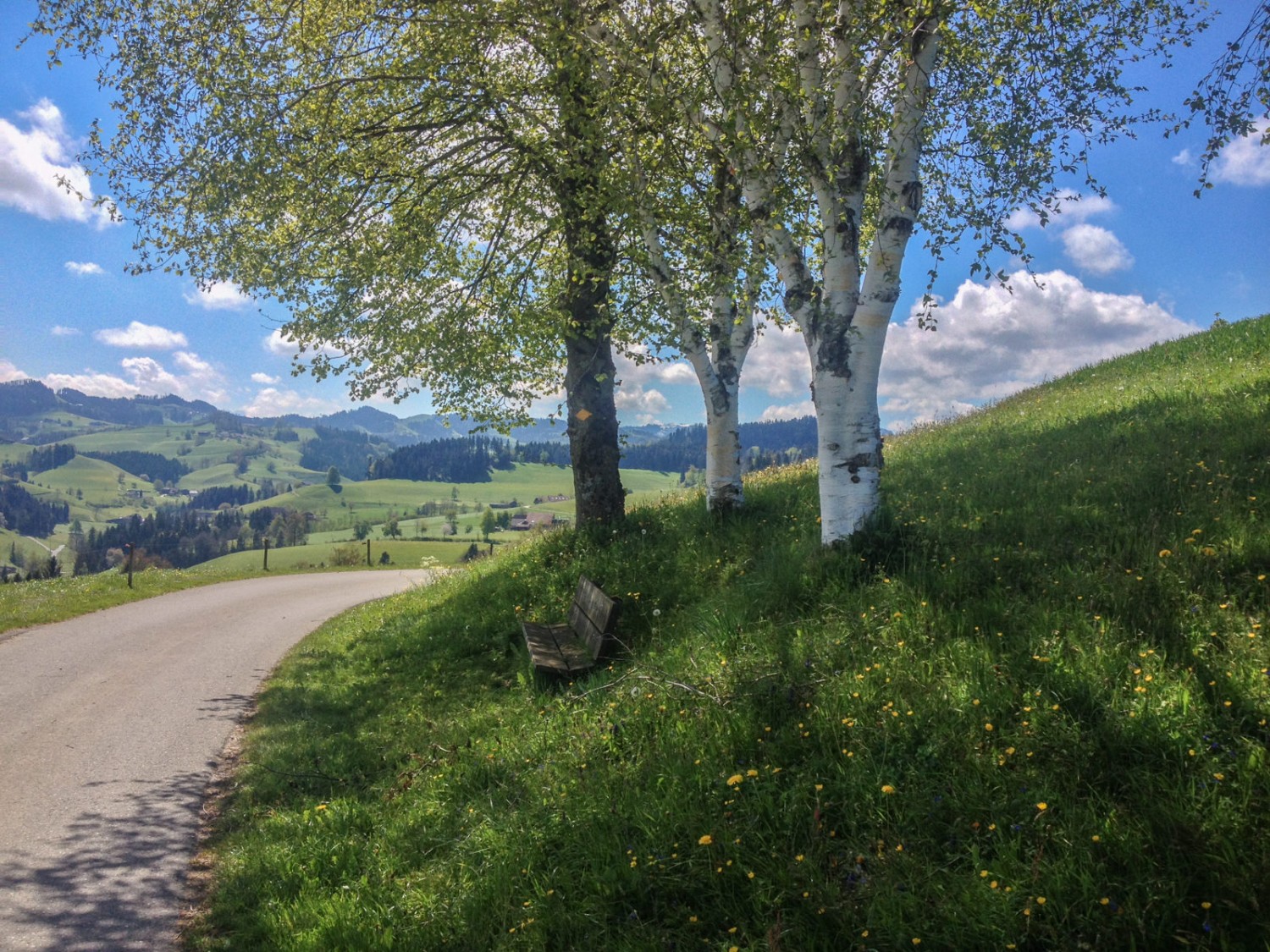 Entlang des Weges gibt es viele Bänkli und tolle Aussicht. Bild: Claudia Peter