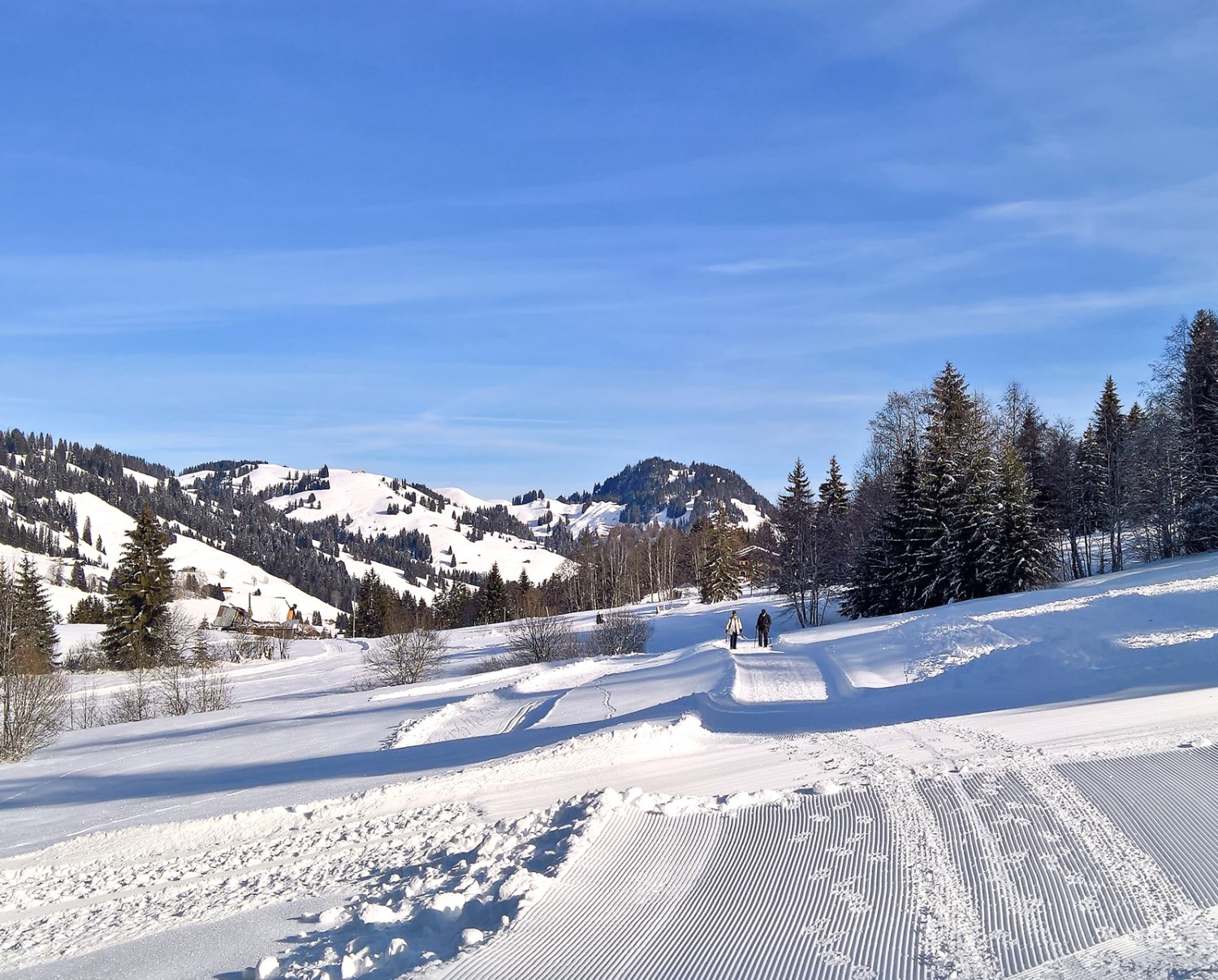 Blick zurück Richtung Saanenmöser. Bild: Andreas Staeger