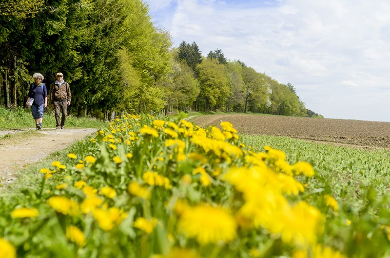 Près de Corrençon, là où le meurtrier et sa maîtresse planifièrent les empoisonnements. Photo: Daniel Fuchs