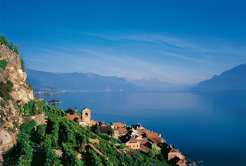 Mediterrane Milde im Weinbaugebiet Lavaux in St-Saphorin