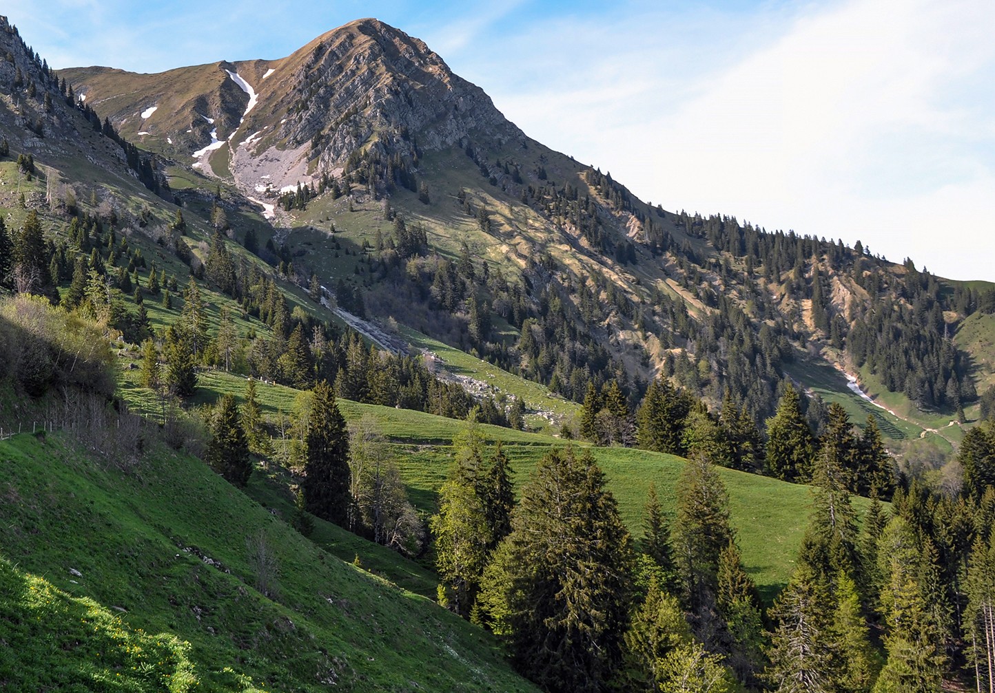 Blick aus dem Intyamontal hinauf zum Moléson.