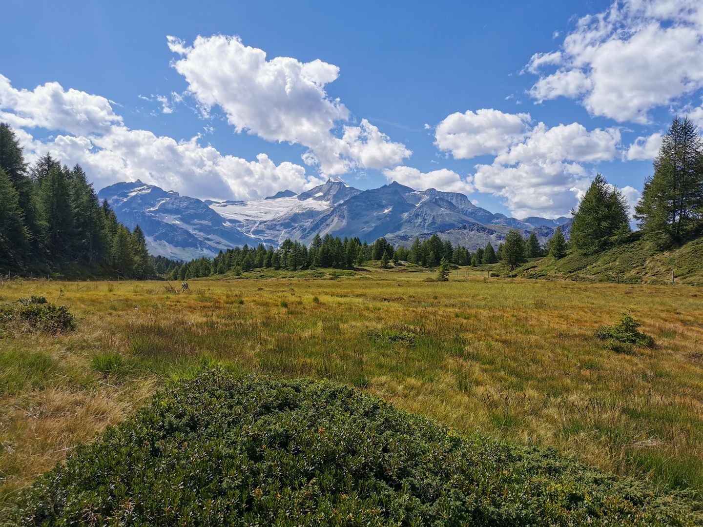 Moorlandschaft von Munt da San Franzesch.