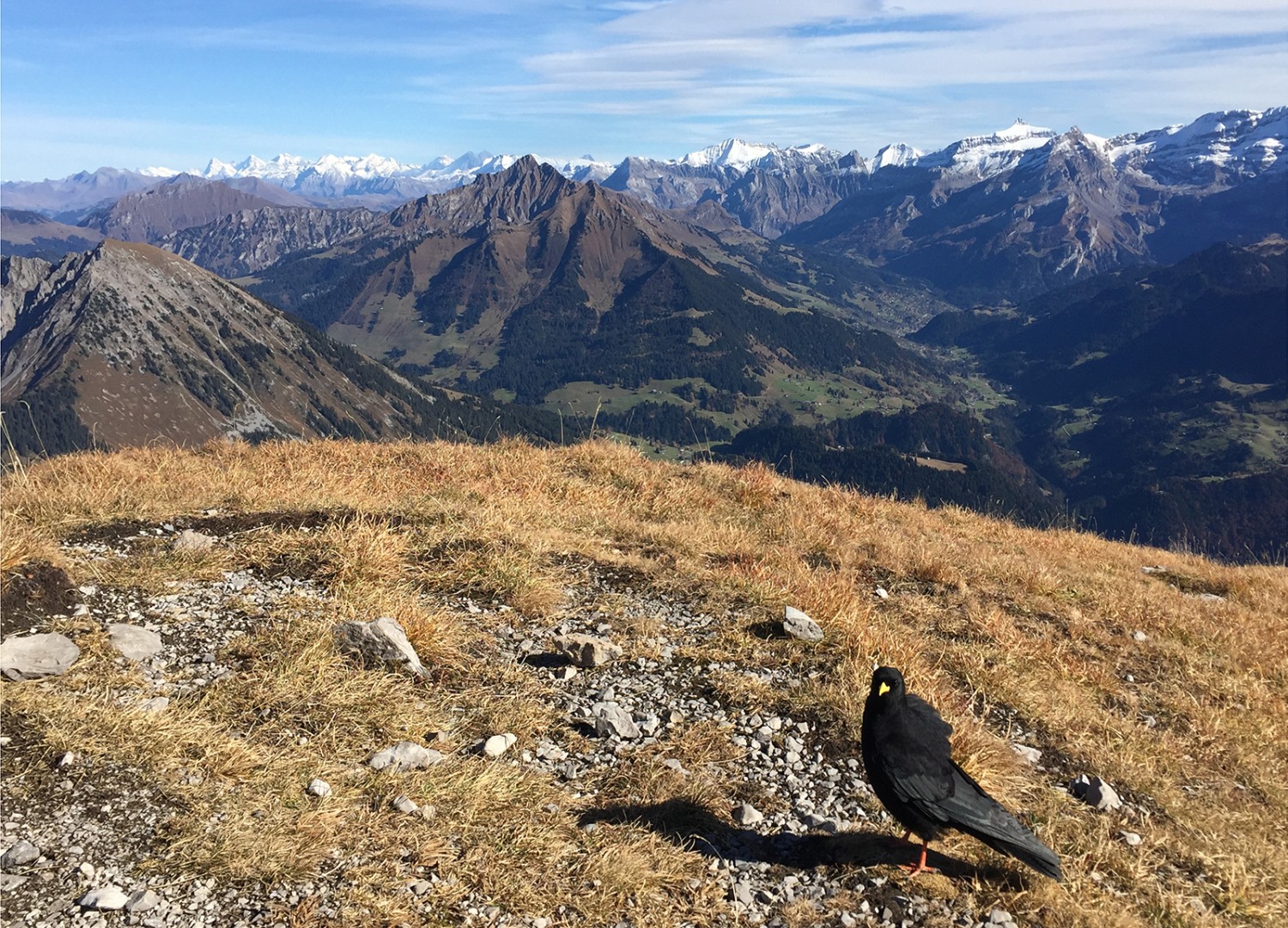 Les mythiques Tours de Leysin