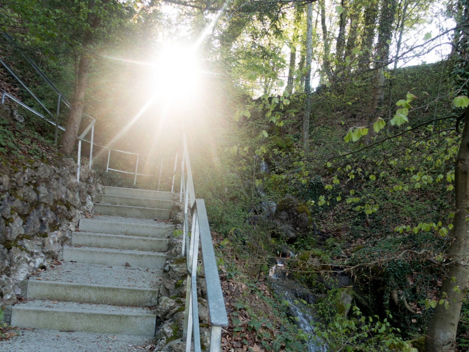 Das haben sie wohl mit «Stairway to Heaven» gemeint. Kurz nach Bremgarten. Bild: Vera In-Albon