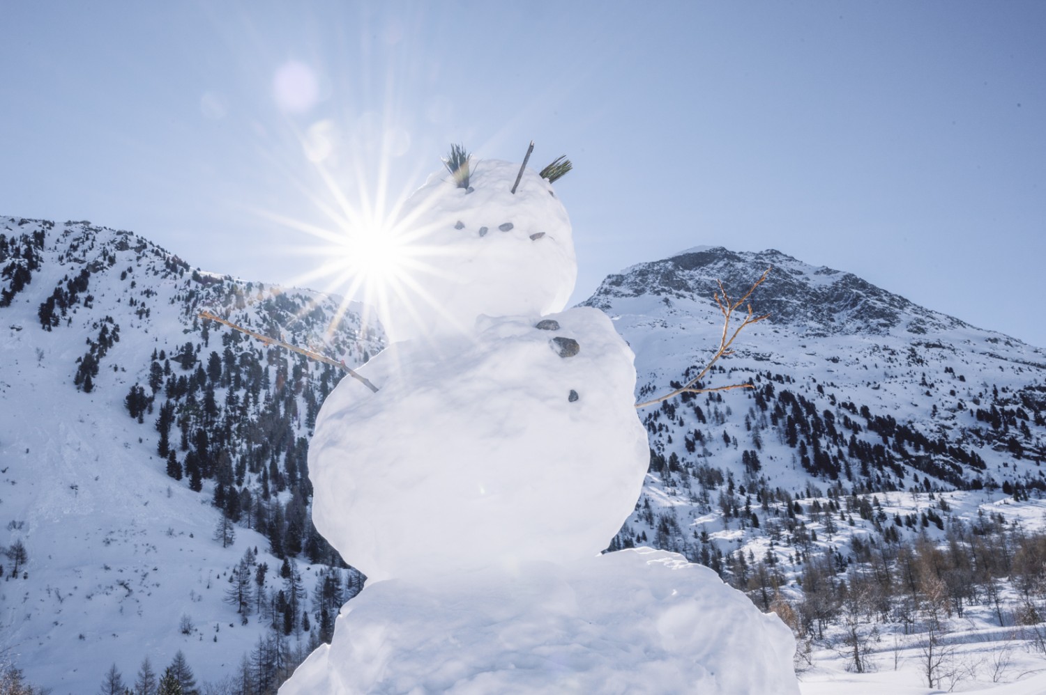 Il n’y a pas que des humains qui s’arrêtent dans le Val Morteratsch. Photo: Jon Guler