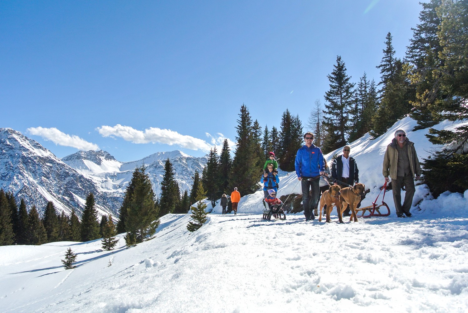 Angenehme Winterwanderung zum Beizli auf der Prätschalp. Der Weg ist breit und gut geeignet für den Schlitten. Bilder: Rémy Kappeler 