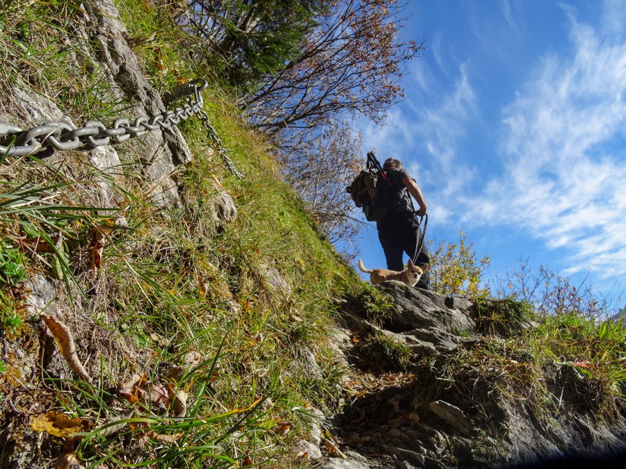 Der Bergwanderweg ist gut gebaut, fast bemerkt man nicht, wie steil der Aufstieg ist.