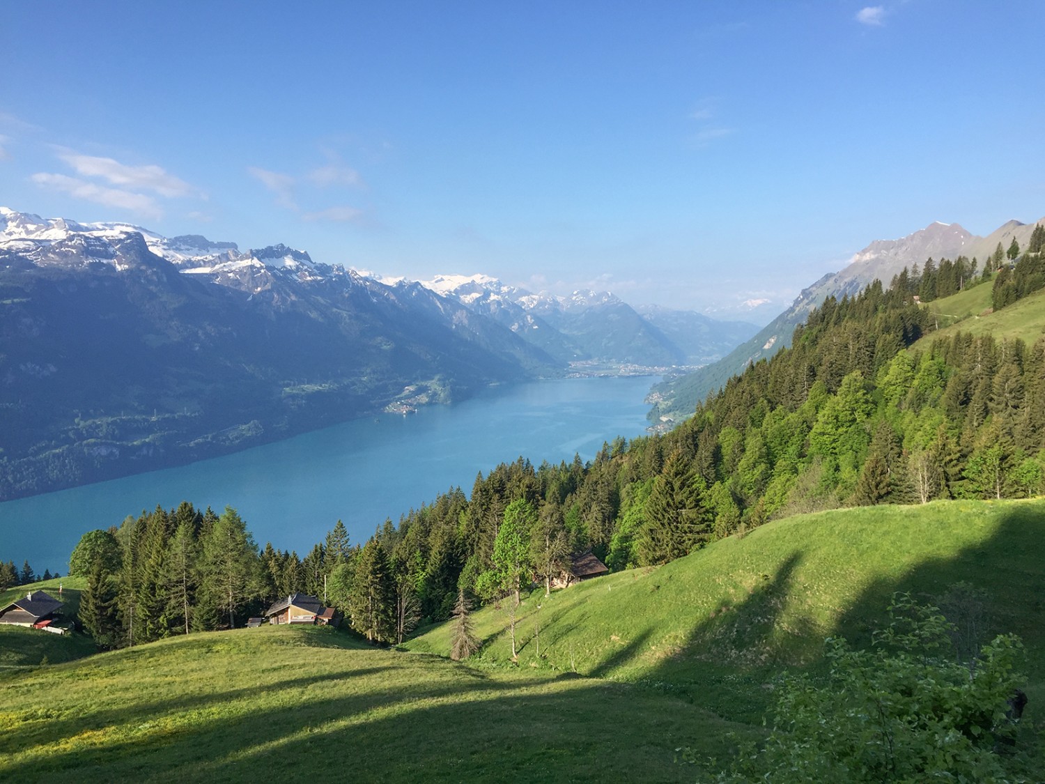 Im Tal unten leuchtet der Brienzersee. Er wechselt je nach Tageszeit seine Farbe.