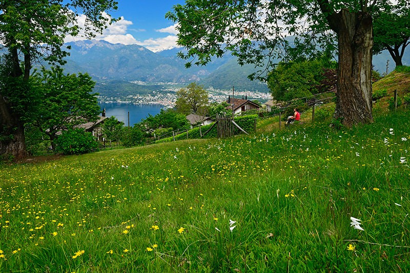 Der schmucke Weiler Monti di Gerra liegt in einer Lichtung im Wald oberhalb des Lago Maggiore. Fotos: natur-welten.ch