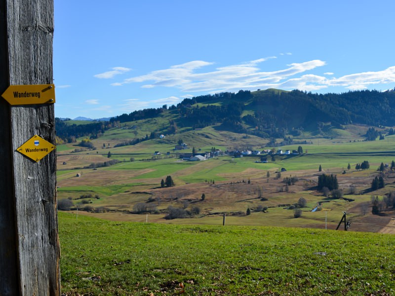 Depuis le «Schönenboden», vue plongeante sur la tourbière de Rothenthurm et notre point de départ, Dritte Altmatt. Photos: Werner Nef