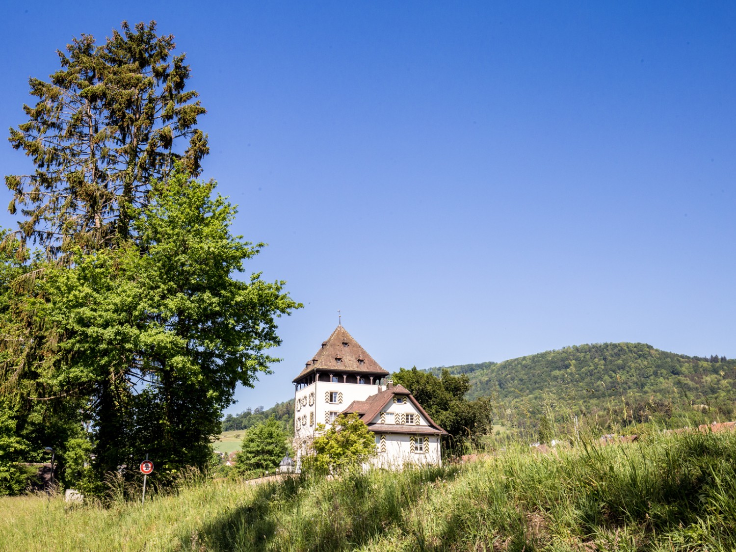 Schlössli Auenstein mit der Gisliflue im Hintergrund. Bild: Daniel Fleuti