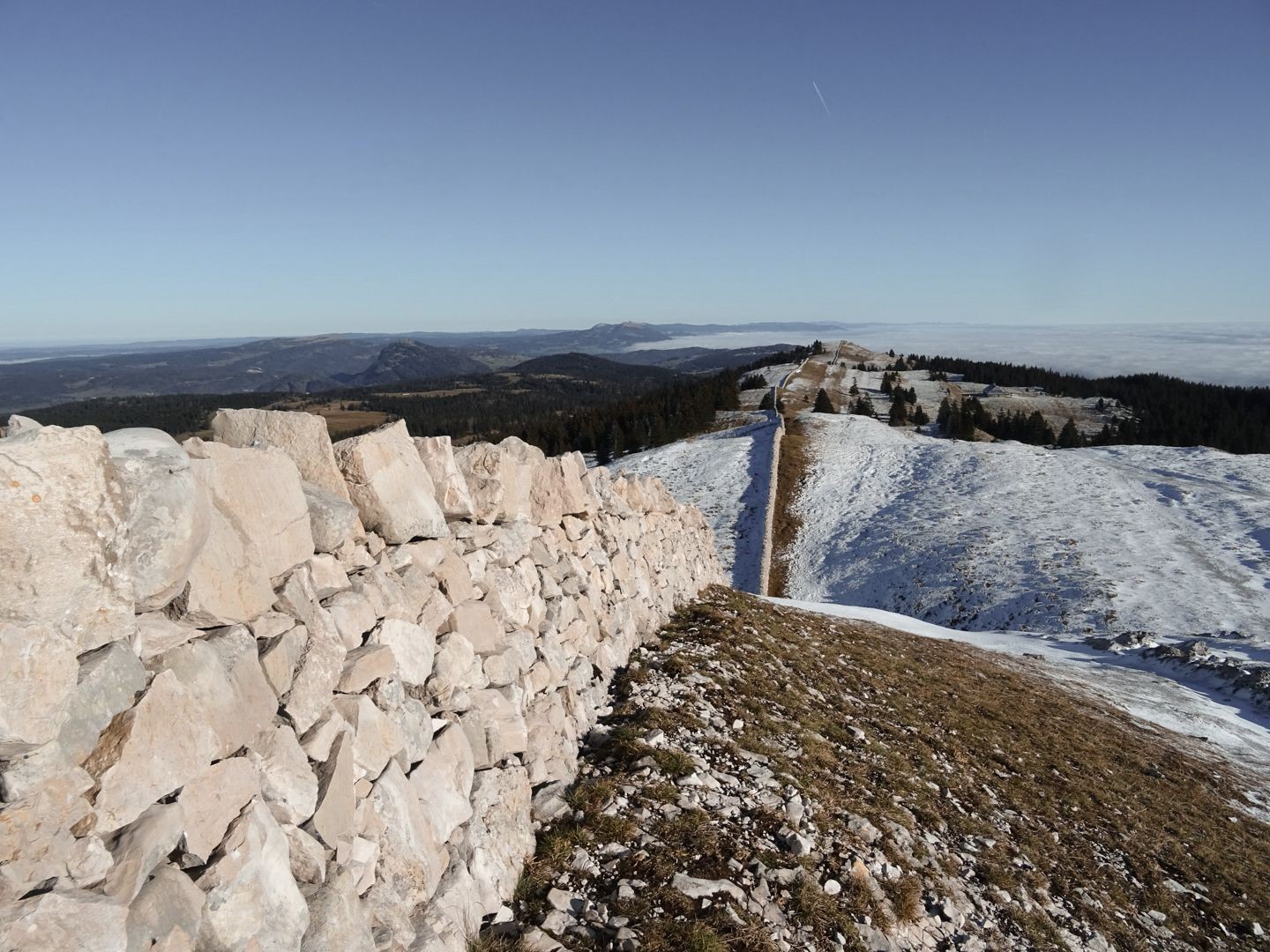 Der Blick folgt der Trockenmauer auf dem Mont Tendre Richtung Norden.