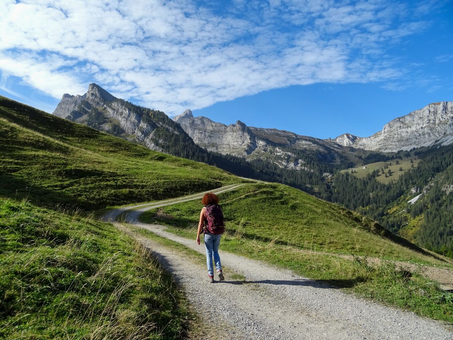 Der Alpweg zwischen der Grimmialp und Nidegg.