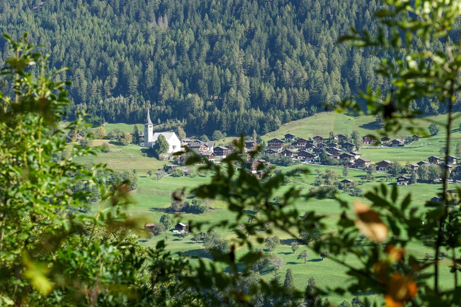 Schon von Anfang an aussichtsreich: Blick von Lax auf Ernen.