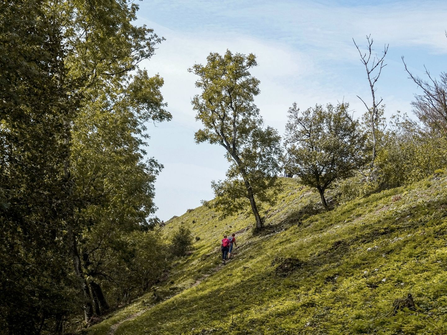 Wanderung auf die Gisliflue im Jurapark Aargau