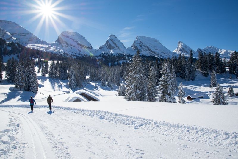 Winterwandernde und Langlaufende teilen sich die flache Route.