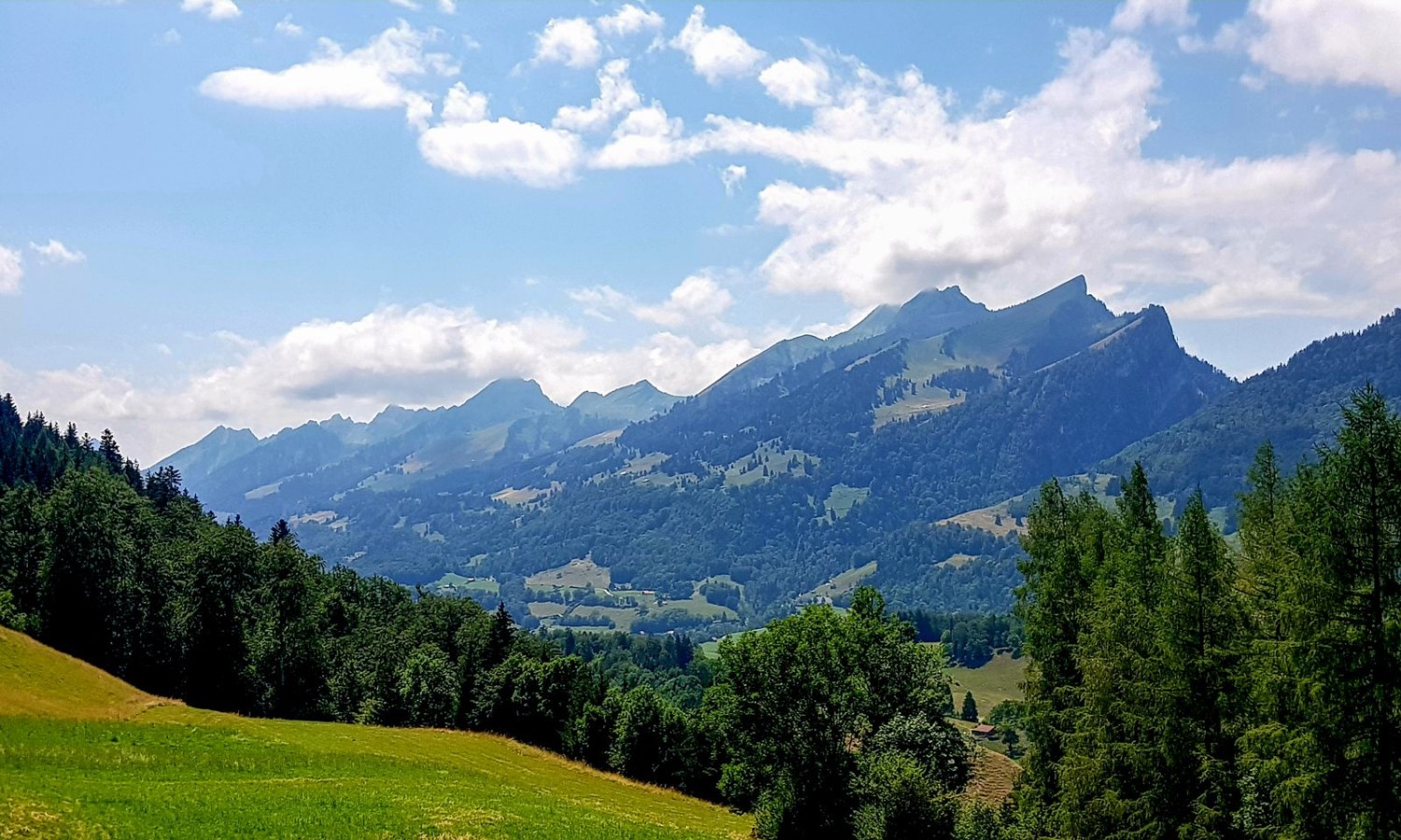 Dichte Wälder, saftige Weiden und Alphütten: das Intyamon-Tal erfüllt alle typischen Klischees des Greyerzerlands.