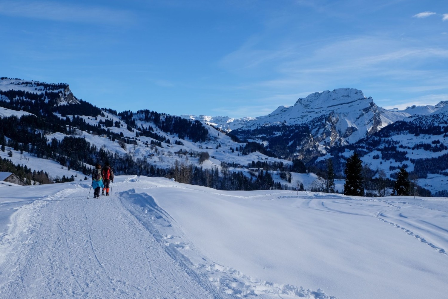 Ausblicke auf die faszinierenden Muotataler Berg runden diese Winterwanderung ab.