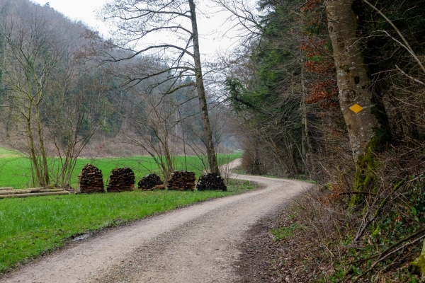 Le paysage varié du parc du Jura argovien