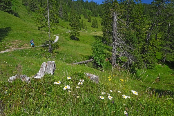 Moorzauber am Obwaldner Glaubenberg