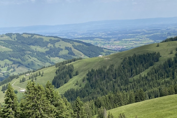 Hohmattli, région Lac Noir, FR