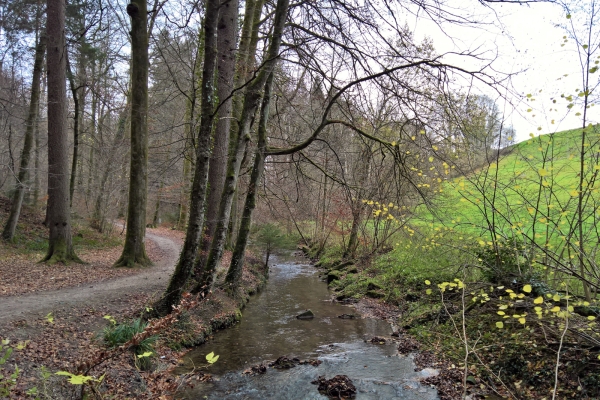 Direction Berne, le long du Gäbelbach