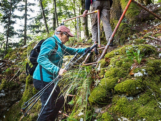 Au sommet du Jura 1