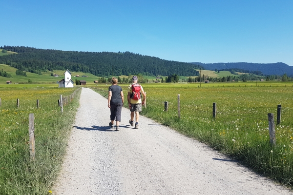 Durch das Hochmoor zum Kloster Einsiedeln