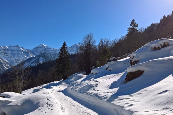 Chemin d’altitude à Braunwald