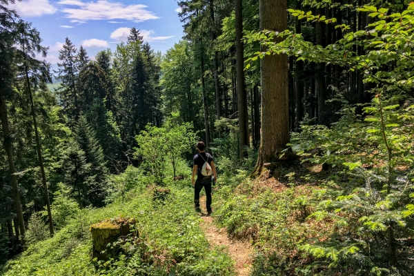 Schöne Aussichten auf dem Eggen Höhenweg