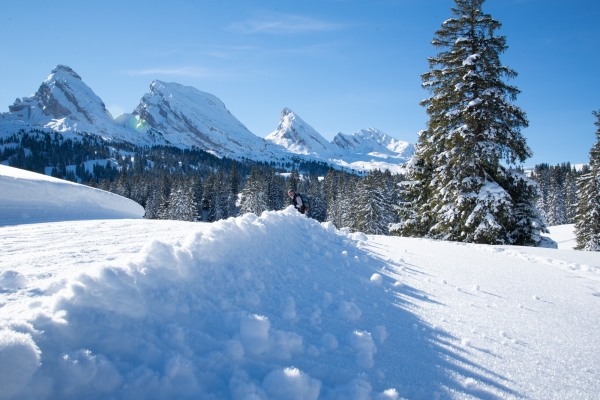 Schneeschuhwanderung im Toggenburg