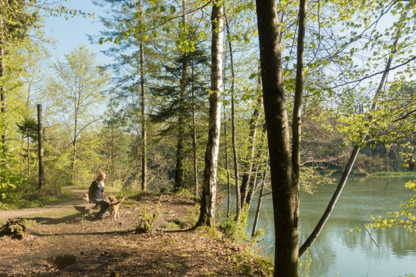 Frühling neben den Flüssen 