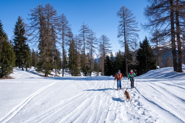 Schneeschuhtrail oberhalb von Salouf