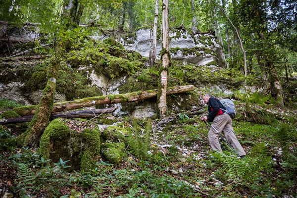 Bergwanderwege im Jura 1